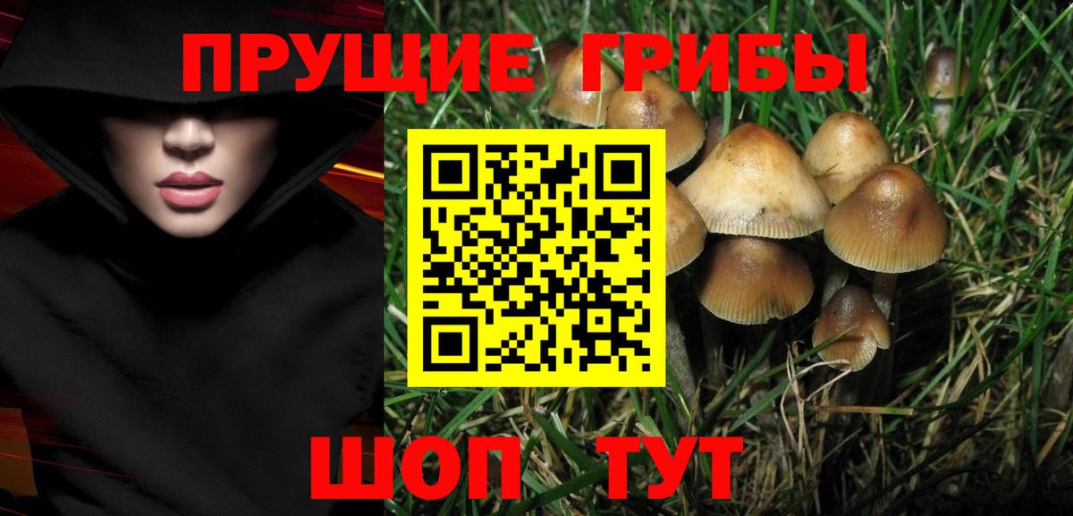 Галлюциногенные грибы мицелий Бугуруслан