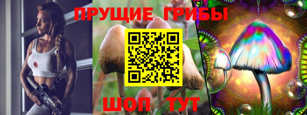 Псилоцибиновые грибы ЛСД  Вход с VPN  Бугуруслан  Галлюциногенные грибы Magic Shrooms 